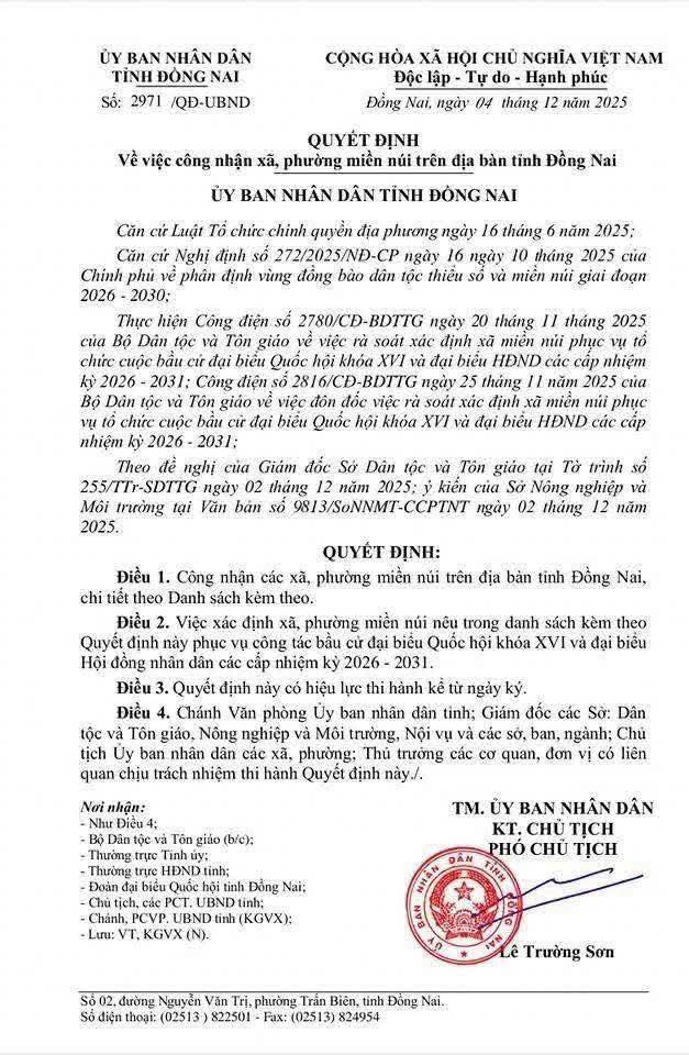 594351253 1174116658204773 8656951020862830880 n